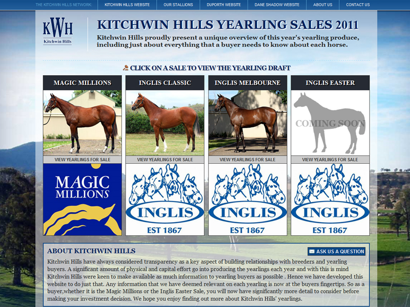 Kitchwin Hills - Yearling Sales